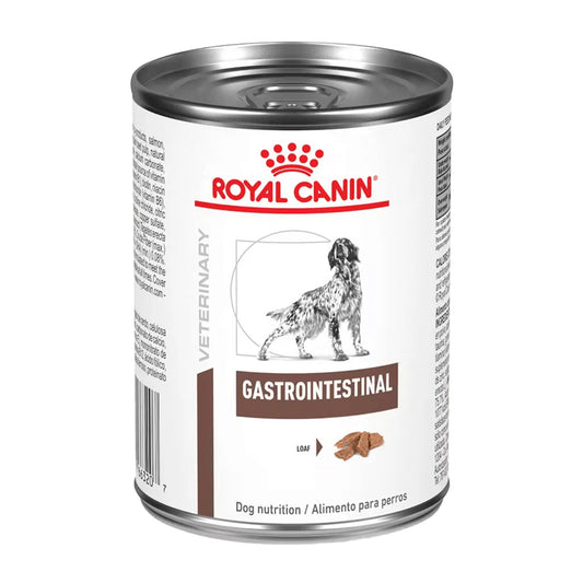 Royal lata perro Gastrointestinal